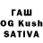 Канабис OG Kush zenor schisikow