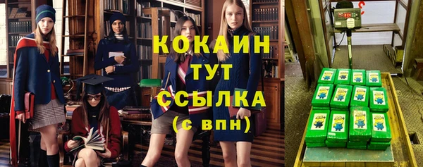 молекула духа Абинск