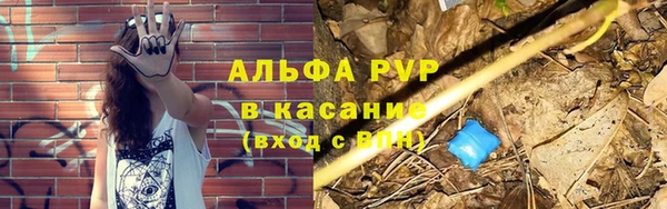 spice Абаза