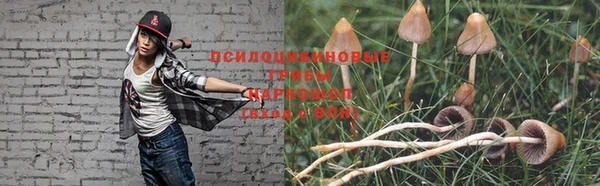 молекула духа Абинск